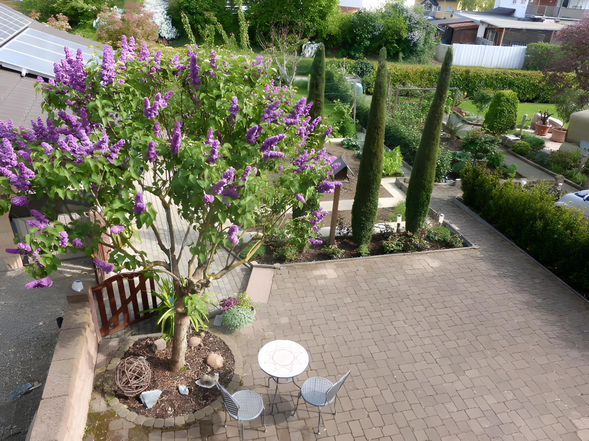 Ferienwohnung Schillinger Sasbach am Kaiserstuhl Exterior foto